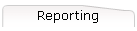 Reporting